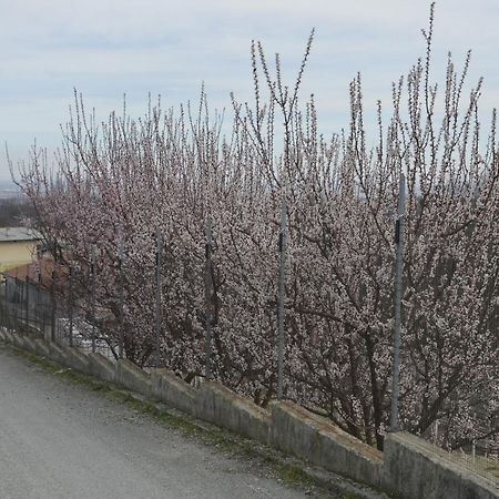 Agriturismo Ai Pruesot Bed & Breakfast Bagnolo Piemonte Bagian luar foto